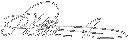 Gary Schwammlein signature